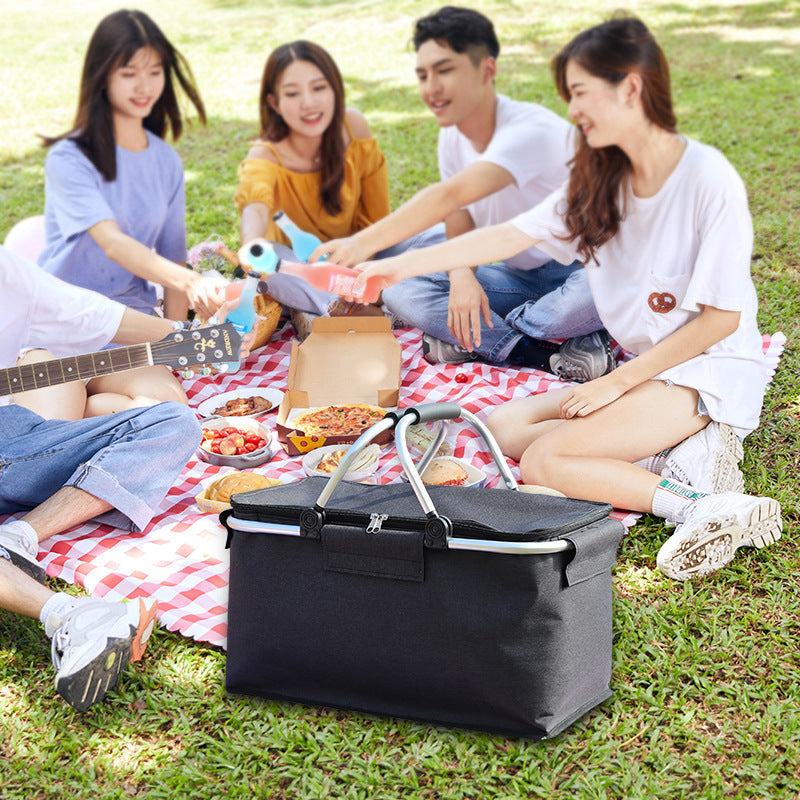 Folding Incubator Picnic Bag