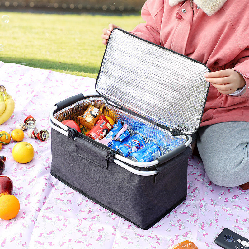 Folding Incubator Picnic Bag